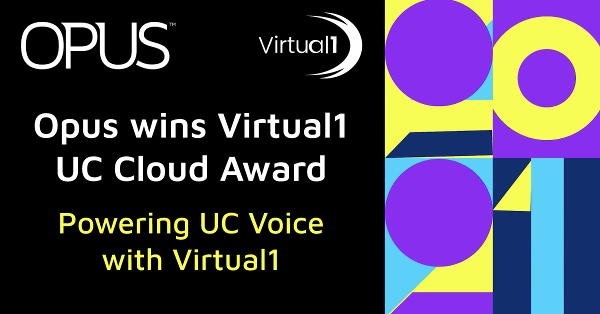 Virtual1 Partner Award